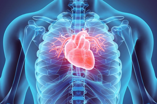 Methodist Cardiology Conference