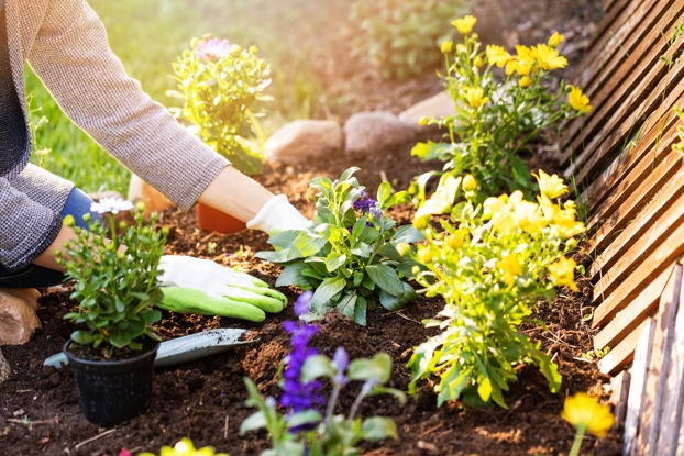 Gardening Series: Flower Design 101