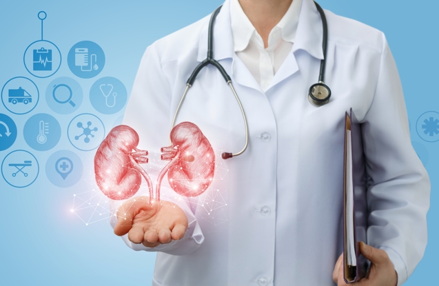 Maintaining Urological Health: What Older Adults Need to Know