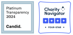 Platinum transparency seal