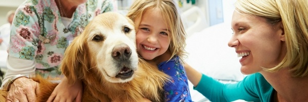 Young Girl Smiling with Golden Retriever 
