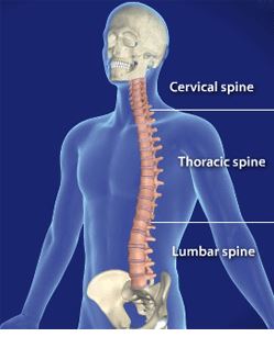 Cervical Spine