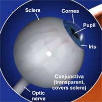 Eye diagram