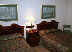 Housing Options