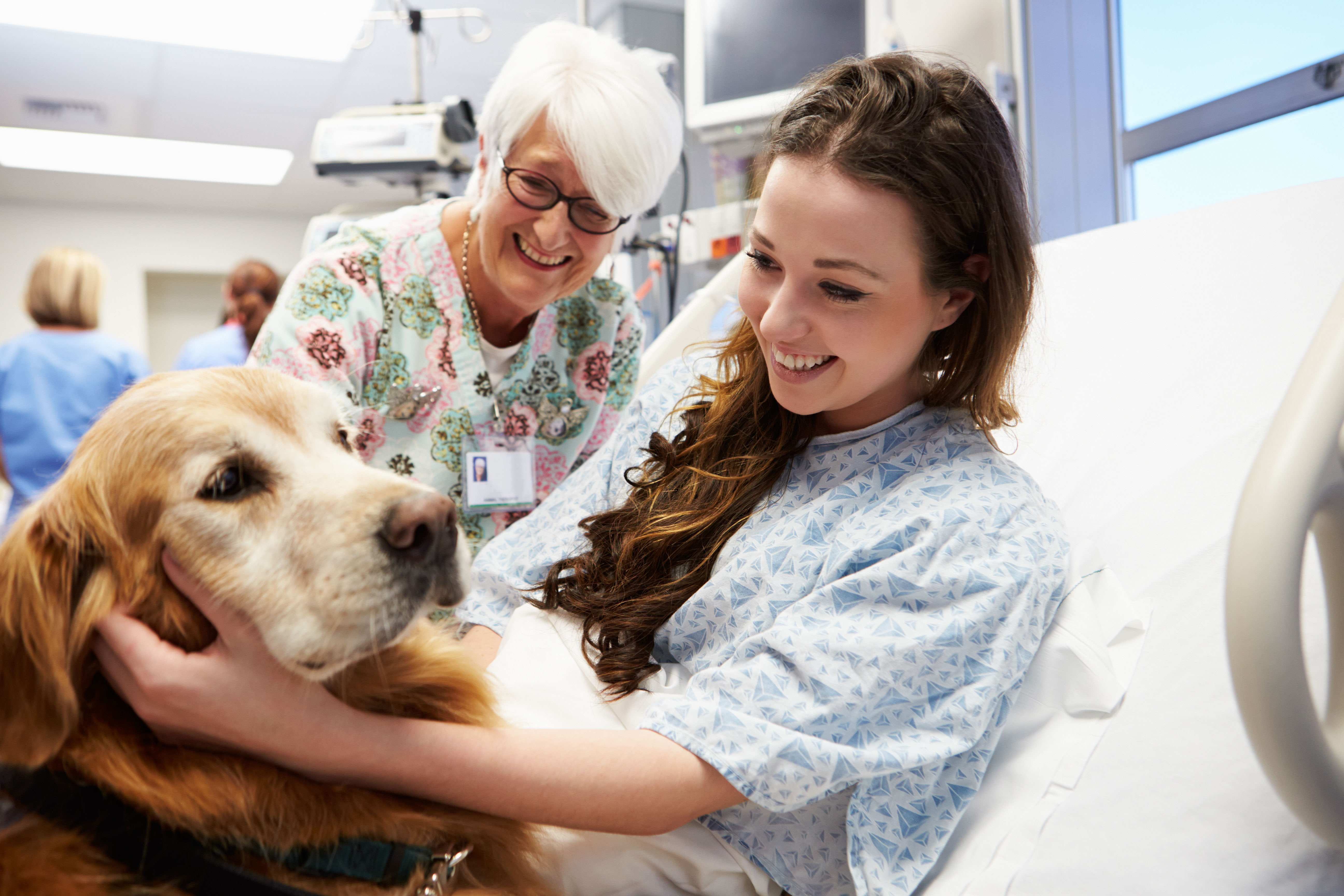 patient with therapy pet 